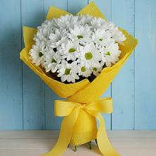 Букет цветов из:  Хризантемы #REPLACE_PRED# Пинюг