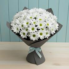 Букет цветов из:  Хризантемы #REPLACE_PRED# Пинюг