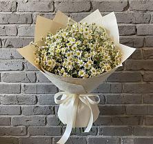 Букет цветов из:  Ромашки #REPLACE_PRED# Пинюг